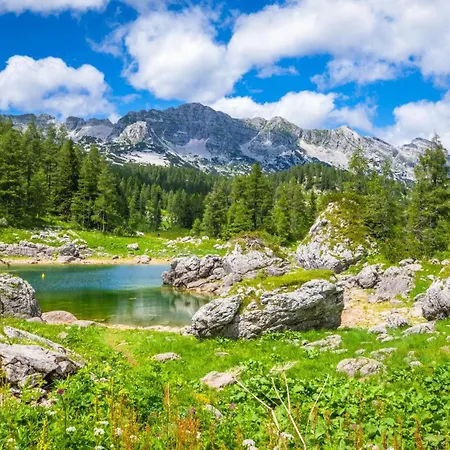 Pinus Alpinus Appartement Bovec