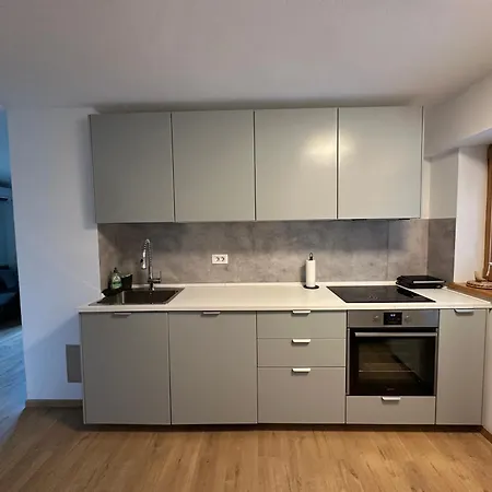 Pinus Alpinus Apartment Bovec