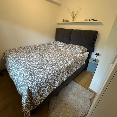 Pinus Alpinus * Bovec