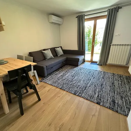 Pinus Alpinus * Bovec