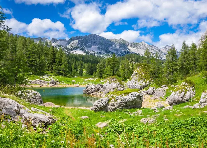 Pinus Alpinus Lägenhet Bovec