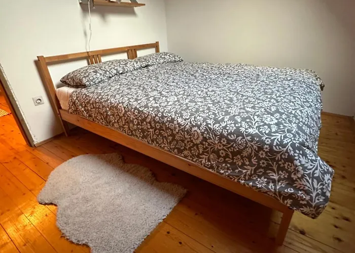 Pinus Alpinus * Bovec