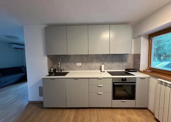 Pinus Alpinus Lägenhet Bovec